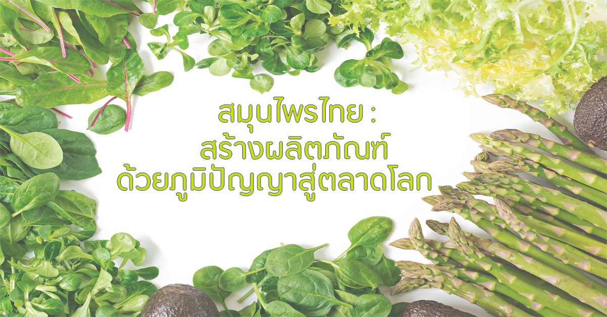 สมุนไพรไทย : สร้างผลิตภัณฑ์ด้วยภูมิปัญญาสู่ตลาดโลก