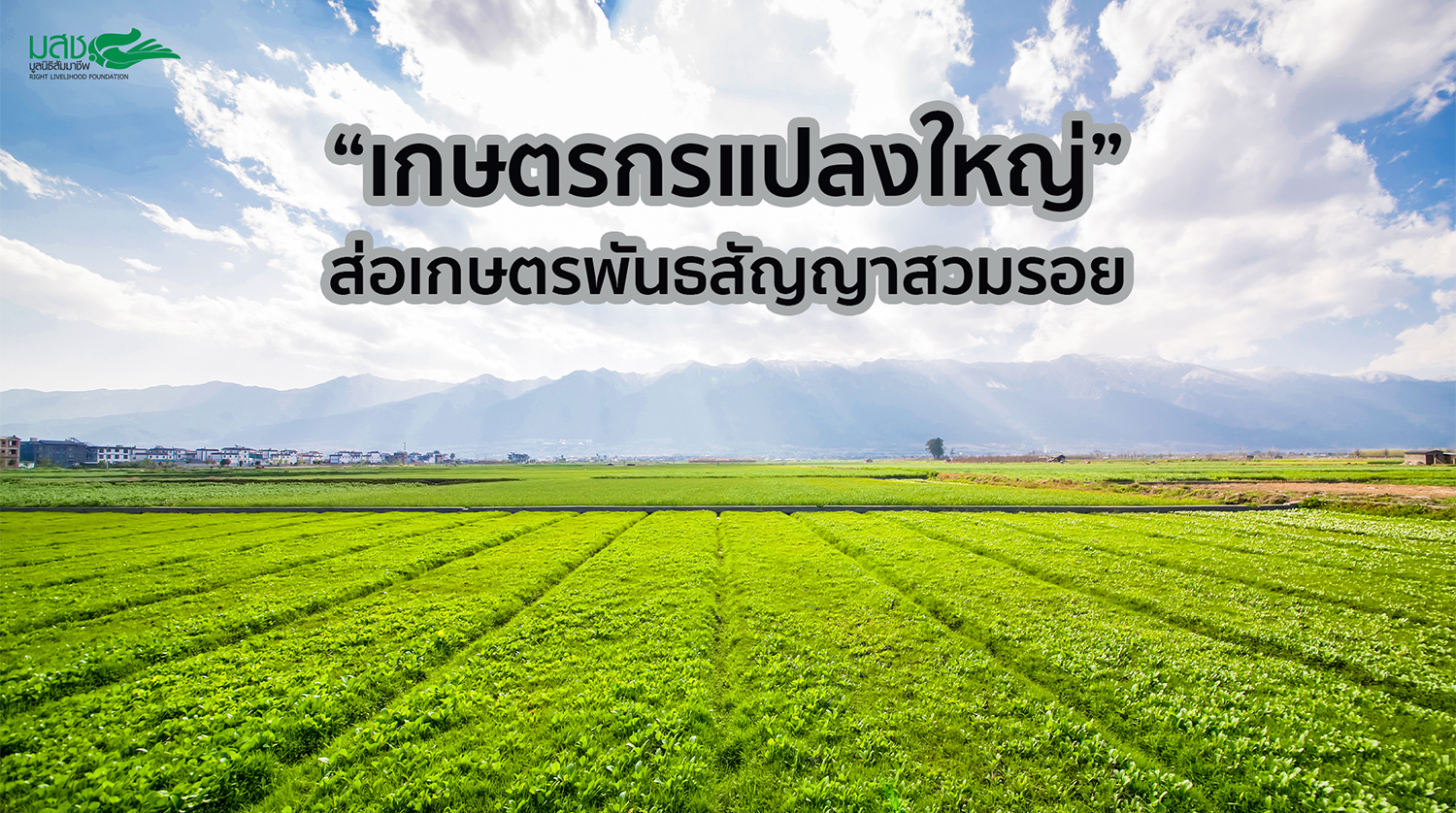 เกษตรกรแปลงใหญ่ ส่อเกษตรพันธสัญญาสวมรอย